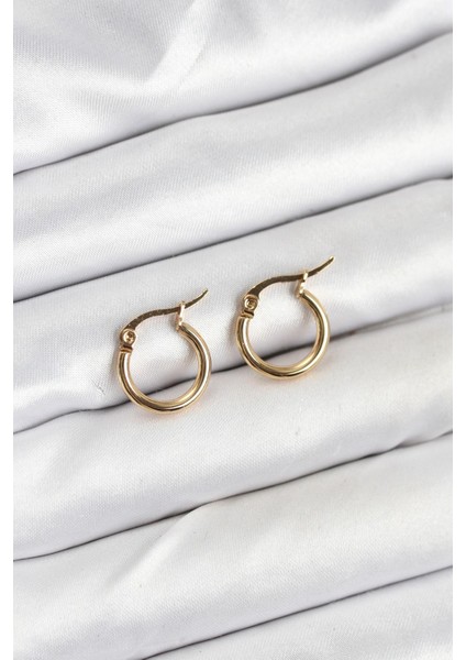 Erb 316L Çelik Gold Renk 12 mm Halka Kadın Küpe