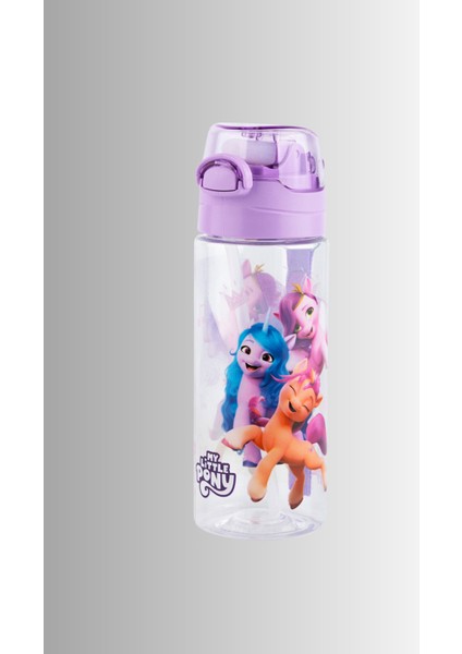 Bpa Içermeyen Sertifikalı Düğmeli Koruyucu Okul Suluğu Mor fiyatları