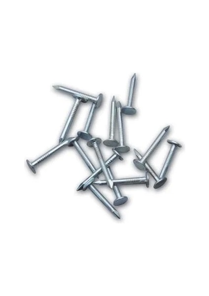 Oluklu Ayakkabı Çivisi 1 kg