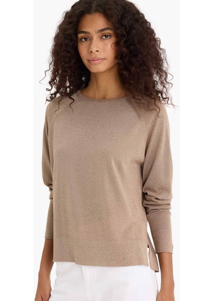 Regular Fit Bisiklet Yaka Triko Kazak C6818AX25WN