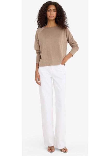 Regular Fit Bisiklet Yaka Triko Kazak C6818AX25WN fiyatları