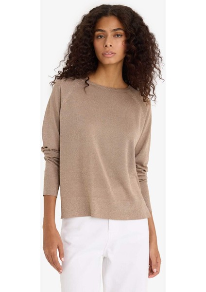 Regular Fit Bisiklet Yaka Triko Kazak C6818AX25WN modelleri