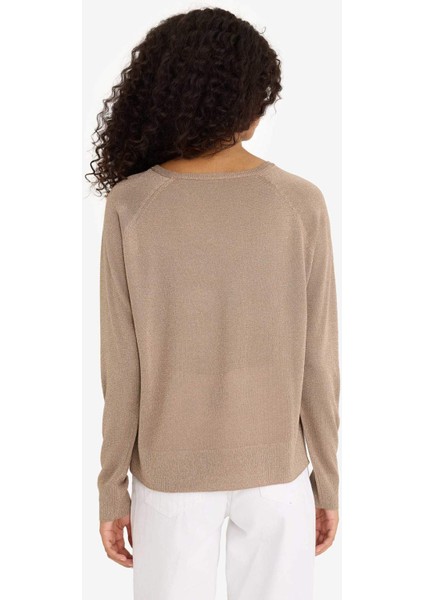 Regular Fit Bisiklet Yaka Triko Kazak C6818AX25WN