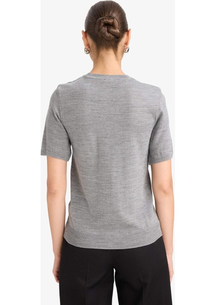 Regular Fit Bisiklet Yaka Kısa Kollu Triko Kazak E6810AX25AU