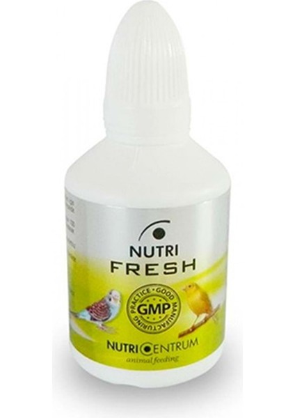 Kuşlar Için Soğuk Algınlığı Destek - Fresh