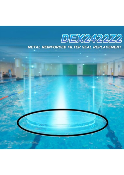 Hayward Pro-Grid De ve Swimcl Için Hayward DEX2422Z2 ile Uyumlu Filtre Conta Contası (Yurt Dışından) indirimleri