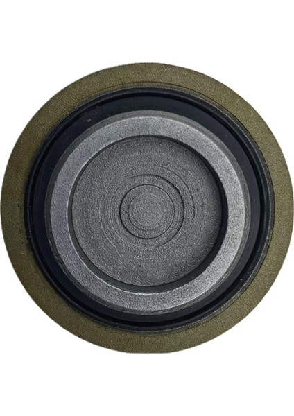 2 Adet Araba Zamanlama Dişli Tapası 1345739 W710954-S430 Ford Ecosport Fiesta Taurus Kuga Mondeo Focus Eksantrik Mili Dişli Kapağı (Yurt Dışından) fırsatları