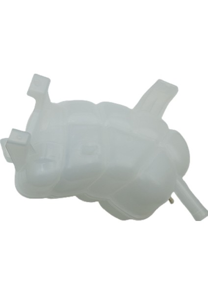 Rezervuar Genleşme Tankı Kapaklı F2G38A080BA F2G3-8A080-BA Ford Lincoln Mkx Edge 2.0 2015-2025 Radyatör Taşma Tankı (Yurt Dışından) modelleri