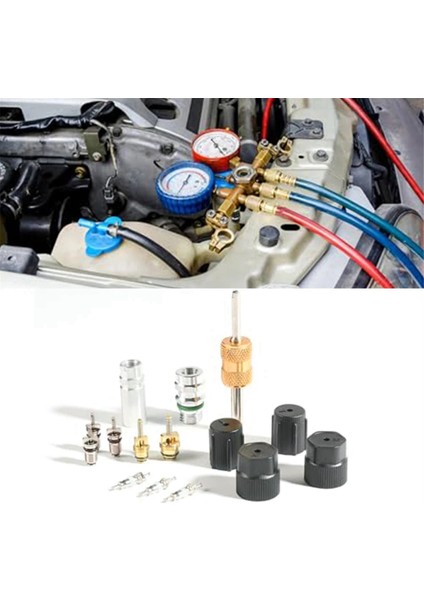 R134A Araba A/c Çekirdek Vanaları Otomatik Klima Çeşitleri Kiti R12 R22 R134 Için Yüksek Basınç Tarafı A/c Servis Vanaları (Yurt Dışından) modelleri