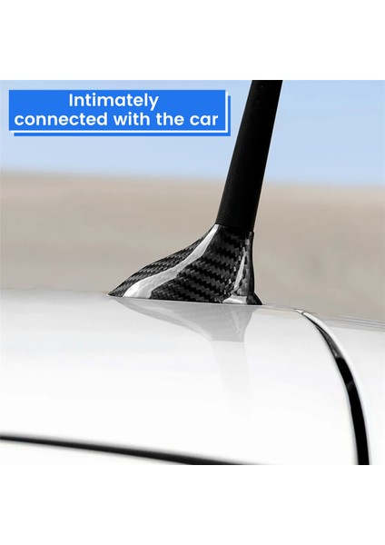 Gerçek Sert Karbon Fiber Araba Anteni Köpekbalığı Yüzgeci Kapağı Tavan Köpekbalığı Yüzgeci Anten Kapağı Sticker Fiat 500 Abarth 595 2012+ Için (Yurt Dışından) fırsatları