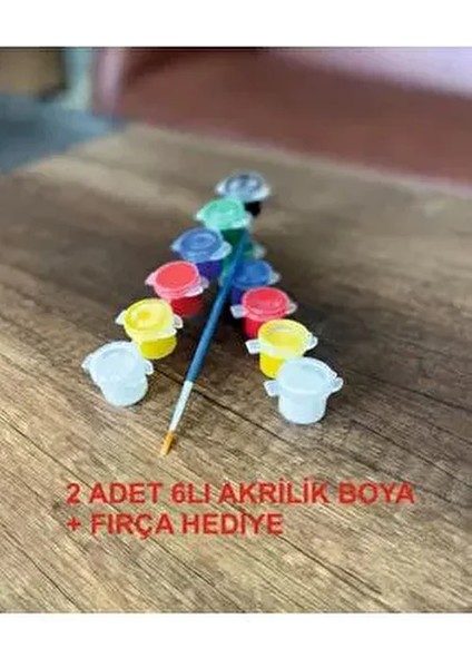 Akrilik Boya (6renk) Firça Hediye (2 Set)