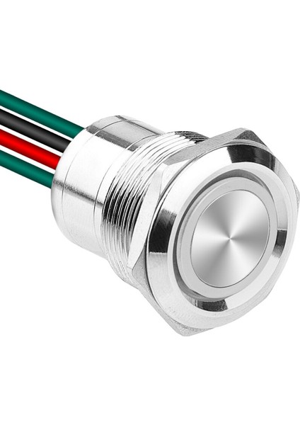 WD22D1-P2Z-E 22MM Düz Anahtarlı Işıklı Kablolu Metal Buton - Beyaz