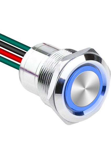 WD22D1-P2Z-E 22MM Düz Anahtarlı Işıklı Kablolu Metal Buton - Mavi
