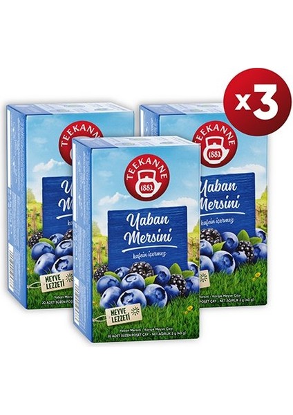 Teekanne Yaban Mersini Karışık Bitki Çayı