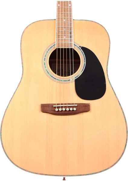 F800N Akustik Gitar