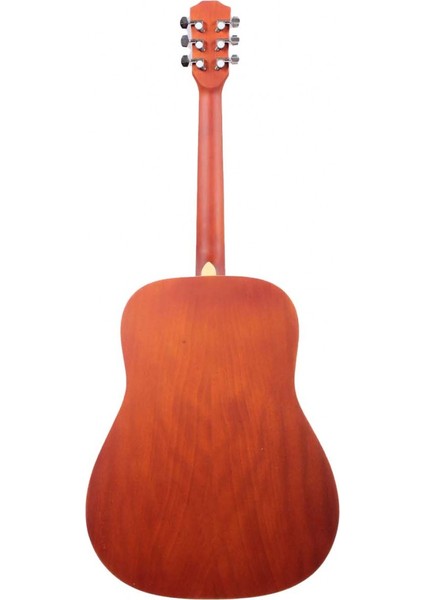 F800N Akustik Gitar modelleri