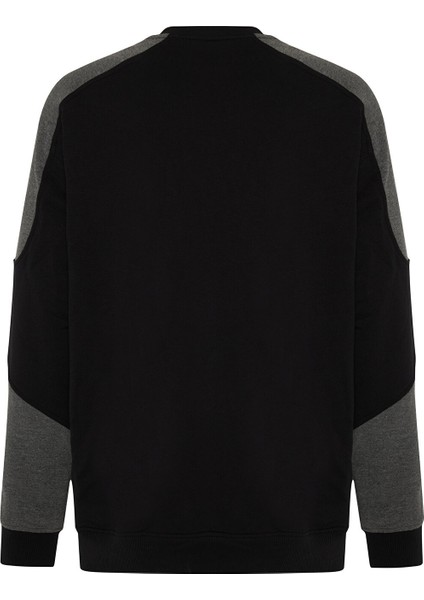 Beşiktaş Erkek Sweatshırt 7526208T3 fiyatları