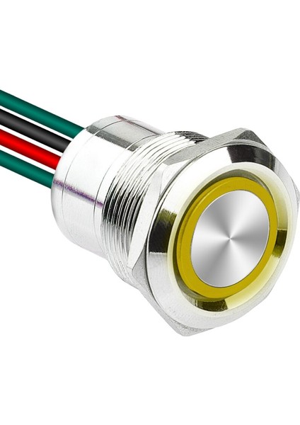WD22D1-P2Z-E 22MM Düz Anahtarlı Işıklı Kablolu Metal Buton - Sarı