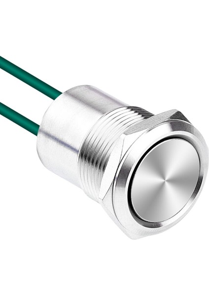 WD19D1-P2 19MM Düz Yaylı Kablolu Metal Buton