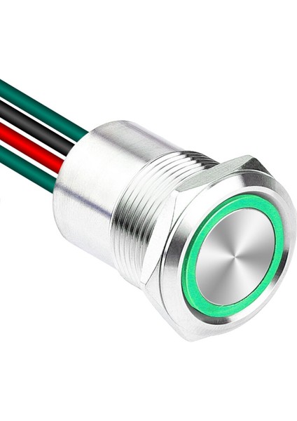 WD19D1-P2-E 19MM Düz Yaylı Işıklı Kablolu Metal Buton - Yeşil