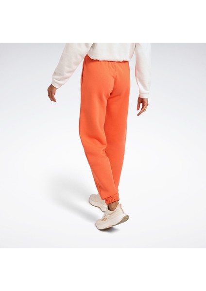 Q3 Ide Fleece Pant Yavruağzı Kadın Eşofman Altı