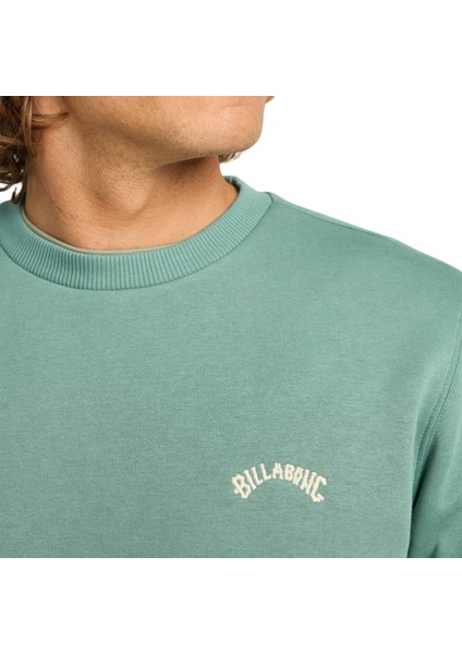 Arch Cr Erkek Yeşil Sweatshirt fırsatları