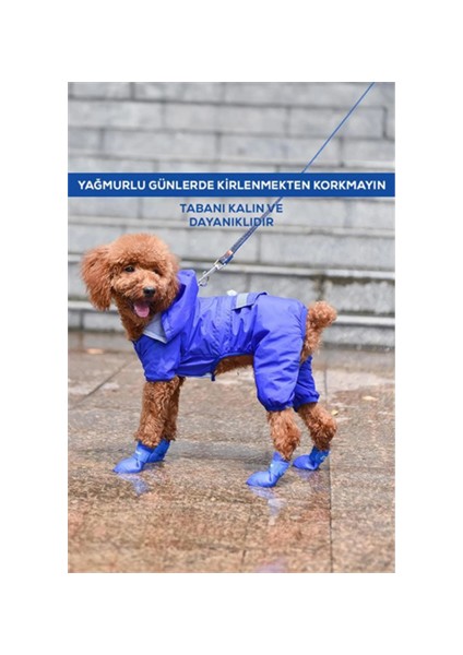 Kedi ve Köpek Pati Ayakkabısı – Silikon Kaymaz Tabanlı, Cırt Cırtlı, Çok Renkli & Farklı Beden Seçenekleri (Stoktan Gönderim)