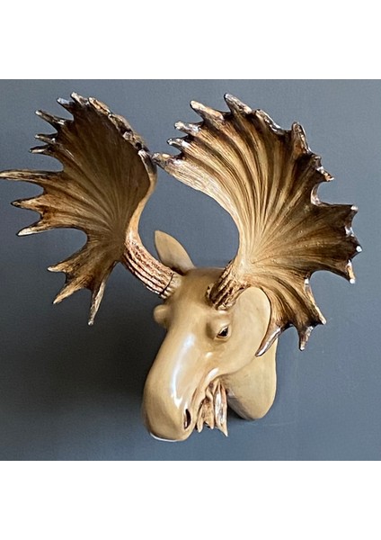 Moose Duvar Geyik fiyatları