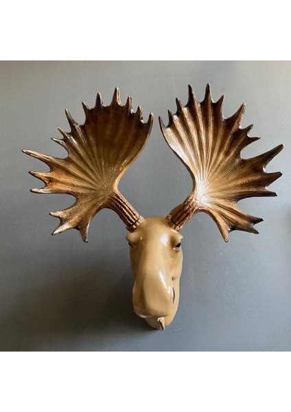 Moose Duvar Geyik modelleri