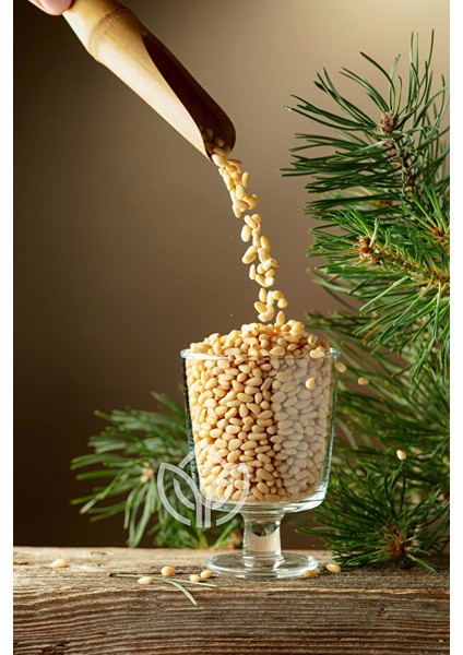 Çam Fıstığı 25 Gram Ermiş Attar modelleri