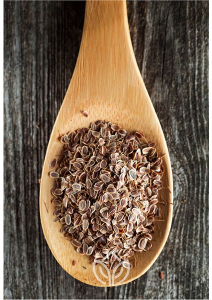 Isırgan Tohumu 100 Gram Ermiş Attar modelleri