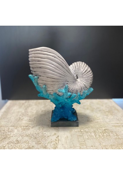 Mercan Üzeri Salyangoz Deniz Kabuğu