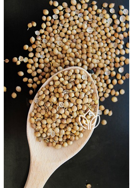 Kişniş Tane 50 Gram Ermiş Attar modelleri