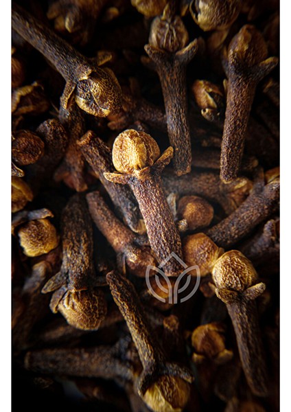 Karanfil 50 Gram Ermiş Attar modelleri