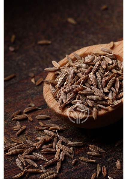 Kimyon Tane 80 Gram Ermiş Attar modelleri