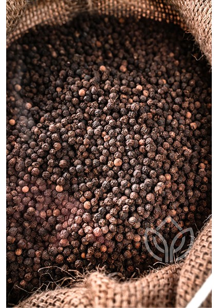 Karabiber Tane 85 Gram Ermiş Attar modelleri