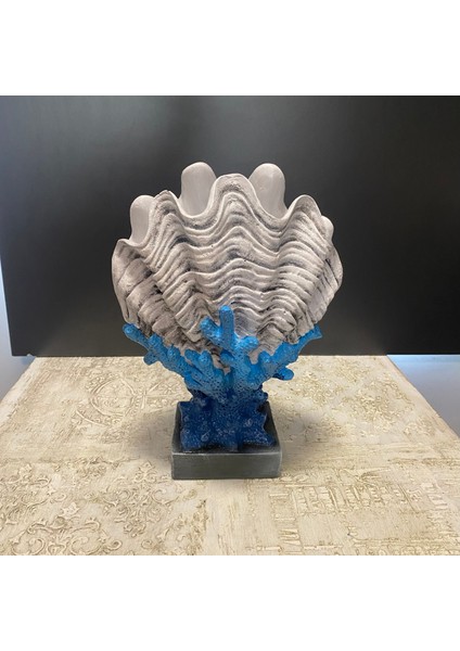 Mercan Üzeri Istiridye Midye