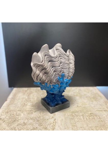 Mercan Üzeri Istiridye Midye fiyatları