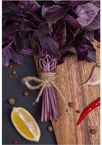 Reyhan 5 Gram Ermiş Attar modelleri