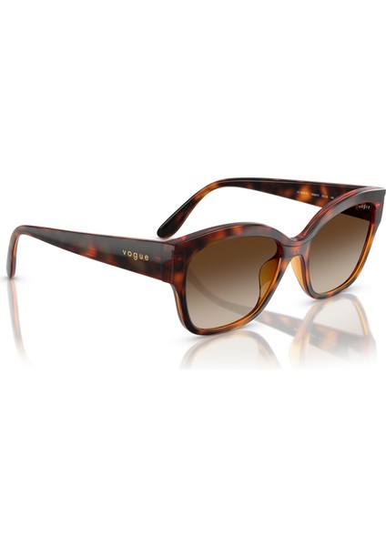 Vo 5638SU W65613 55 Vogue Kadın Güneş Gözlüğü modelleri