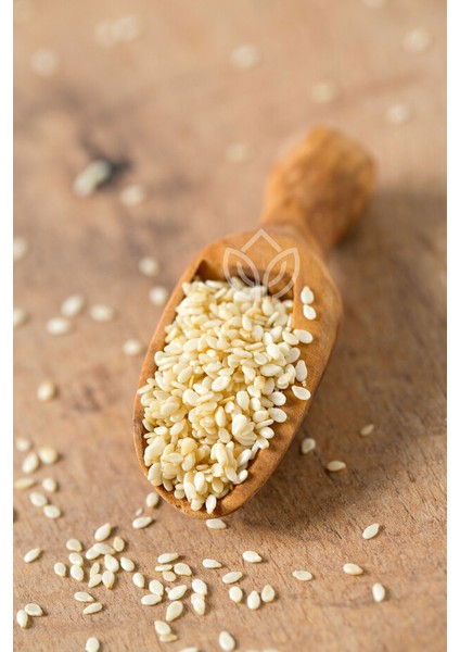 Susam 100 Gram Ermiş Attar fiyatları