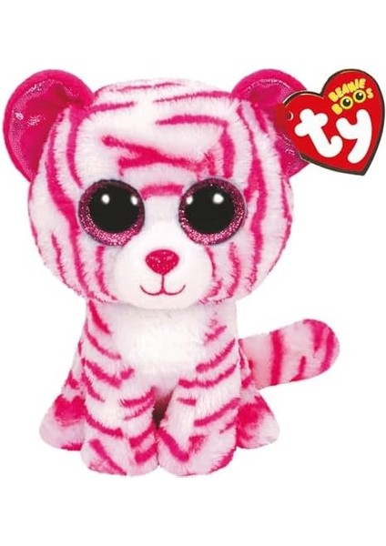 Tiger Reg fiyatları