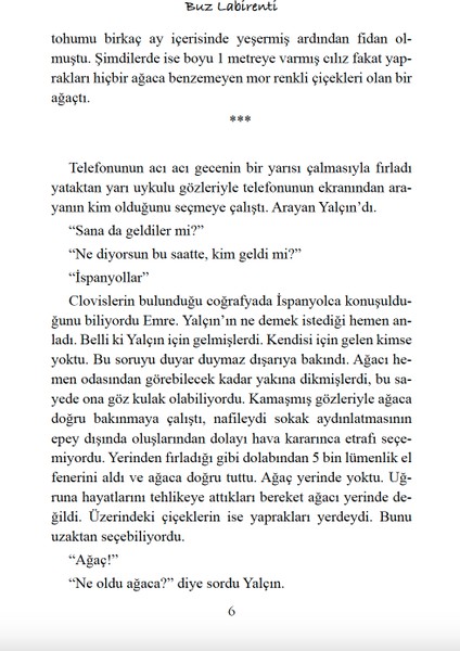 Buz Labirenti indirimleri