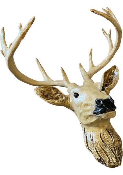 Duvar Dekoru Geyik Kafası fırsatları