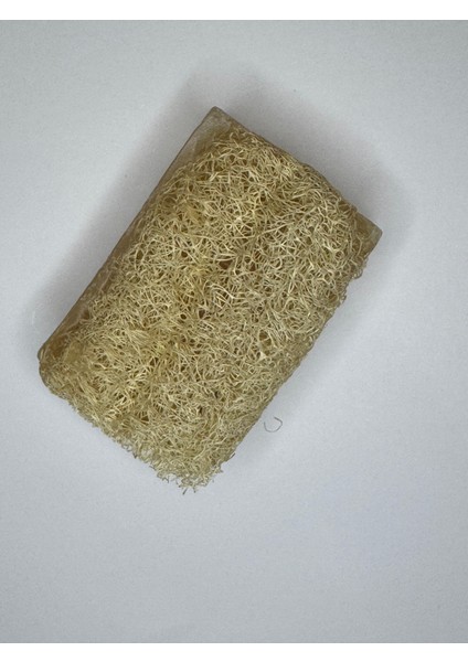 Pirinç Özlü Kabak Lifli Sabun modelleri