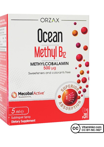 Ocean Methyl B12 500 mcg Sprey 5 ml