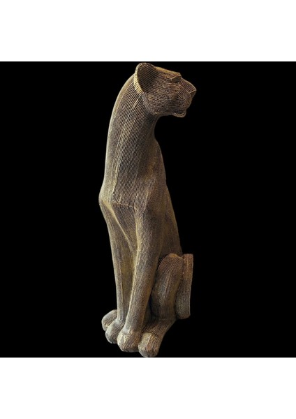 Dokulu Büyük Panter fiyatları