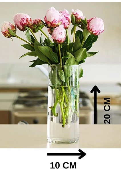 Orta Boy Cam Vazo 20CM 6 Adet fiyatları