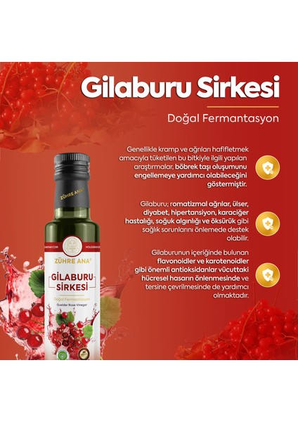 Gilaburu Sirkesi Doğal Fermantasyon Guelder Rose Vinegar 500 ml modelleri