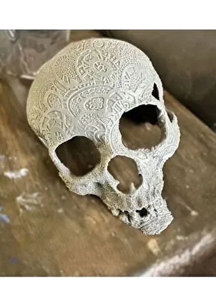 Kuru Kafa Balık Süsü 16 cm Çap Akvaryum Dekorasyonu İçin Beyaz fiyatları